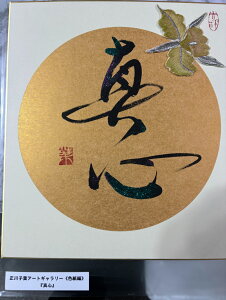 y^Sz qt A[gM[ F  Yoۏ YoۏR CMOw@\ ̊wZ 