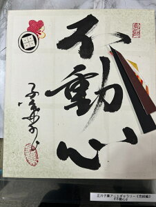 ysSz qt A[gM[ F  Yoۏ YoۏR CMOw@\ ̊wZ 