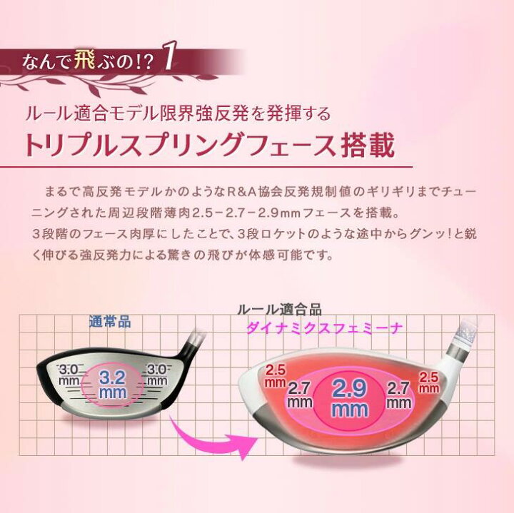 楽天市場】【ルール適合モデル】ゴルフ クラブ ダイナミクス 