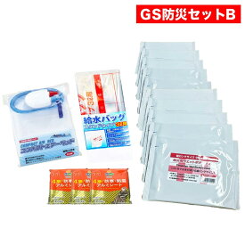 【GS非常用持出防災セットB 】内容：コンパクトエアーベッド1個、給水バッグ1個、防災用ウェットボディタオル10枚、防寒・防風アルミシート3個