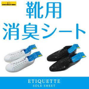 靴 除菌 シートの人気商品 通販 価格比較 価格 Com 靴 除菌 シートの人気商品 通販 価格比較 価格 Com