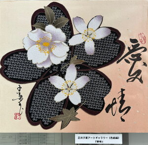 yz qt A[gM[ F  Yoۏ YoۏR CMOw@\ ̊wZ 