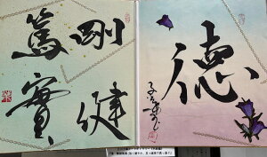 yEEEĎ(₩AŐ^)z qt A[gM[ ܐF 270*480mm  Yoۏ YoۏR CMOw@\ ̊w