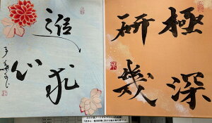 yiSEEEɐ[([ɂߊ)z qt A[gM[ ܐF 270*480mm  Yoۏ YoۏR CMOw@\ ̊wZ 