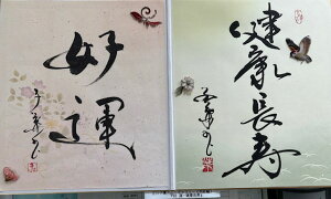 yD ^`Nz qt A[gM[ ܐF 270*480mm  Yoۏ YoۏR CMOw@\ ̊wZ 