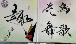 y`̉ԕz qt A[gM[ ܐF 270*480mm  Yoۏ YoۏR CMOw@\ ̊wZ 