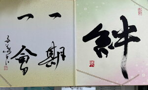 yJ`z qt A[gM[ ܐF 270*480mm  Yoۏ YoۏR CMOw@\ ̊wZ 