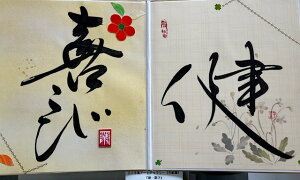 yEEEсz qt A[gM[ ܐF 270*480mm  Yoۏ YoۏR CMOw@\ ̊wZ 