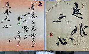 yVSEEPɂ߂S̓z qt A[gM[ ܐF 270*480mm  Yoۏ YoۏR CMOw@\ ̊wZ 