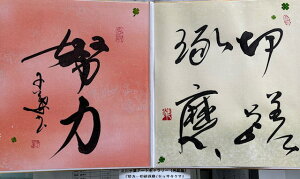 yẃEEE(ZbT^N})z qt A[gM[ ܐF 270*480mm  Yoۏ YoۏR CMOw@\ ̊wZ 
