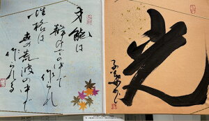 yEEE˔\͐Â̒ōAi͐̍rg̒ōz qt A[gM[ ܐF 270*480mm  Yoۏ YoۏR CMOw@