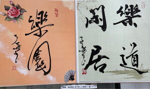 yyEEEyՋ(yݒՂɕ炷)z qt A[gM[ ܐF 270*480mm  Yoۏ YoۏR CMOw@\ ̊wZ 