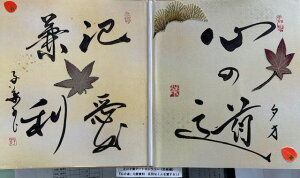 yS̓(ÈEEEʂȂl)z qt A[gM[ ܐF 270*480mm  Yoۏ YoۏR CMOw@\ ̊wZ 