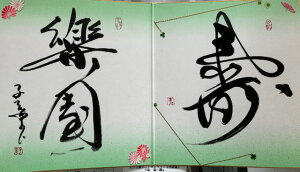 yy `z qt A[gM[ ܐF 270*480mm  Yoۏ YoۏR CMOw@\ ̊wZ 