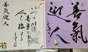 yPC}l(̎PӂĐlƐڂ)z qt A[gM[ ܐF 270*480mm  Yoۏ YoۏR CMOw@\ ̊wZ 