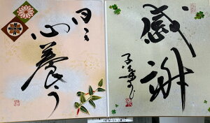 y Ӂ`X S{z qt A[gM[ ܐF 270*480mm  Yoۏ YoۏR CMOw@\ ̊wZ 