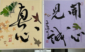 y^SEEEJSz qt A[gM[ ܐF 270*480mm  Yoۏ YoۏR CMOw@\ ̊wZ 