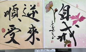 yEEEt(tƂĎ󂯎~߂)z qt A[gM[ ܐF 270*480mm  Yoۏ YoۏR CMOw@\ ̊wZ 