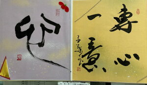 ySEEES(̎ɐSW)z qt A[gM[ ܐF 270*480mm  Yoۏ YoۏR CMOw@\ ̊wZ 