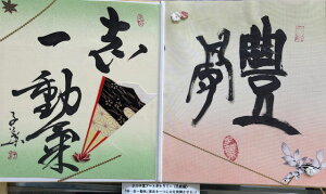 ýEEEuꓮC(ӎuɗ͂𔭊)z qt A[gM[ ܐF 270*480mm  Yoۏ YoۏR CMOw@\ ̊wZ 