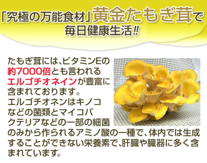 楽天市場】【3個セット】【日本製】 たもぎ茸 錠剤 160mg 360錠 たもぎ 