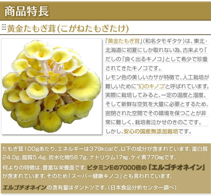 楽天市場】【賞味期限2026年8月大特価】たもぎ茸 錠剤 160mg 360錠 た 