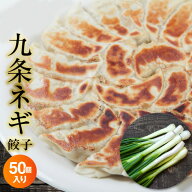 九条ねぎ餃子 20g×50個(1kg) 餃子計画 餃子 ぎょうざ ギョウザ 生餃子 冷凍餃子 冷凍生餃子 九条ねぎ 冷…