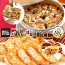楽天市場 餃子 研ちゃん餃子本舗
