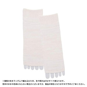 C fB[X T_ \bNX H ۃ\bNX  C T_ I[vgD C ܖ{w Jt 5{w fB[X  C Hp T_ Y \bNX nCLO 