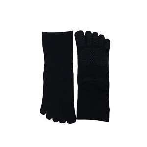 St \bNX St\bNX Y 5{w\bNX Y 5{w\bNX ~ Stp C ܖ{w\bNX Y 5{wCY Obv 񒣂 ԂȂ X|[c\bN