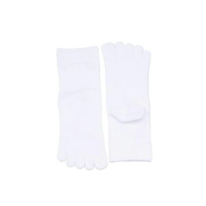 St \bNX St\bNX Y 5{w\bNX Y 5{w\bNX ~ Stp C ܖ{w\bNX Y 5{wCY Obv 񒣂 ԂȂ X|[c\bN