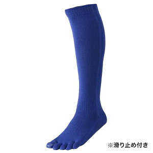 y ew⋭ 1ۏ z싅\bNX Y ~ ܖ{w 싅 WjA 싅 C hJΉ 5{w\bNX Y ܖ{w\bNX Y 싅 C WjA \bNX 싅 x[X{