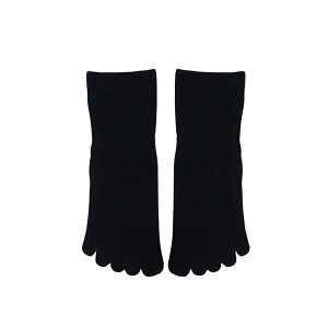 St \bNX St\bNX Y 5{w\bNX Y Stp C ܖ{w\bNX Y 5{wCY 񒣂 ԂȂ X|[c\bNX   lCr[ ubN z