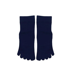 St \bNX St\bNX Y 5{w\bNX Y Stp C ܖ{w\bNX Y 5{wCY 񒣂 ԂȂ X|[c\bNX   lCr[ ubN z