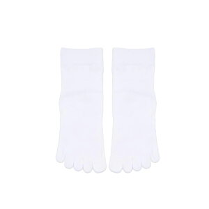 St \bNX St\bNX Y 5{w\bNX Y Stp C ܖ{w\bNX Y 5{wCY 񒣂 ԂȂ X|[c\bNX   lCr[ ubN z