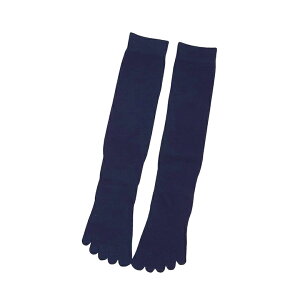 5{w\bNX fB[X ܖ{w\bNX fB[X ⋭ St 5{w\bNX X|[c fB[X 5{w nC\bNX C ܖ{w 5{wC ܖ{wC X|[c\bNX St\b