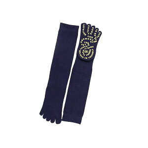 5{w\bNX fB[X 5{w \bNX ~ ܖ{w \bNX Xm[{[h C 5{w o[{[ C ܖ{w C X|[c ܖ{w nC\bNX { AEghA EB^[X