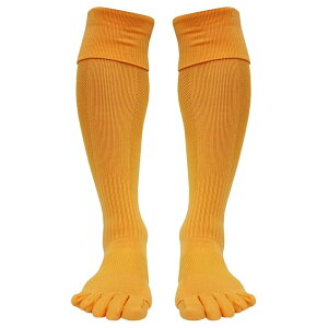 TbJ[\bNX 5{w \bNX TbJ[ \bNX WjA 5{w\bNX Y O TbJ[\bNX q TbJ[ \bNX LbY TbJ[ C 5{w\bNX X|[c Y 