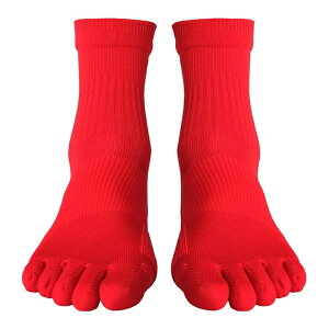 _ƊE!!5{w\bNX×TbJ[^TbJ[\bNX q 5{w\bNX X|[c Y TbJ[ \bNX WjA TbJ[ \bNX LbY 5{w V[g \bNX Y ܖ{w\