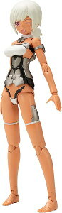 t[A[YEK[ eBVA Silver Ver.yViz FRAME ARMS 扮 vf KOTOBUKIYA