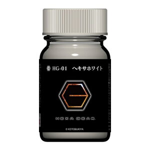 KCAJ[ wLTMApJ[ HG-01 wLTzCg/ėpzCgijyViz KCAm[c vfph