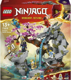 レゴ ニンジャゴー ドラゴンストーンの滝 71819【新品】 LEGO 知育玩具 【宅配便のみ】