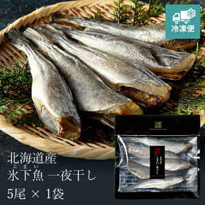 y̗ cXzy Mtgz܂銱ykCYz5×1 [KO-113A]yⓀցz