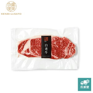 y̗ cXzy MtgzyHOKKAIDO PREMIUM GIFTzVT[CXe[LA [MG046]yⓀցz