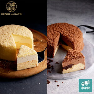 y̗ cXzy MtgzyGrande patissierzlFormaggioiZ`[YVRj`[YP[L[MG155A]yⓀցz