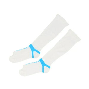 MBfBJ\bNX tBbg^Cv eXgbLO ʈË@y[֑z