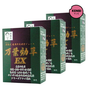 済陽式万葉効草EX 90g(3g×30包)×3箱セット
