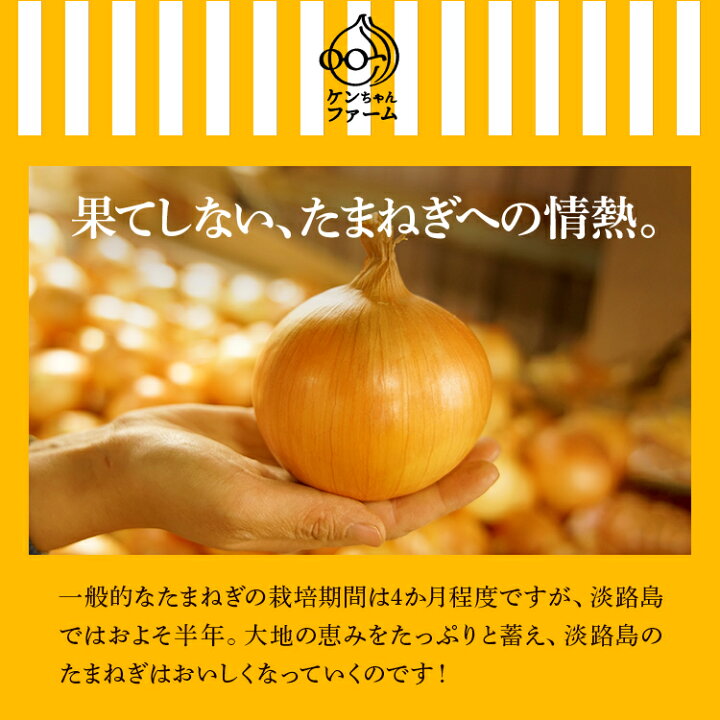 楽天市場 送料無料 北海道 沖縄 離島を除く 淡路島新玉ねぎ 淡路島新たまねぎ 白い たまねぎ 淡路島タマネギ 玉ねぎ 新玉ねぎ 新たまねぎ タマネギ 玉葱 淡路島 ギフト 食べ比べ 3キロ 3kg ハーフ ハーフセット ケンちゃんファーム 楽天市場店