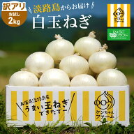 【6/15は店内全品ポイント5倍！】希少な白玉ねぎが訳あり価格！お試しサイズ【実はとあるサイトでNo.1が…