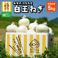 【6/15は店内全品ポイント5倍！】希少な白玉ねぎ【実はとあるサイトでNo.1が楽天参入】新たまねぎ 新玉ね…